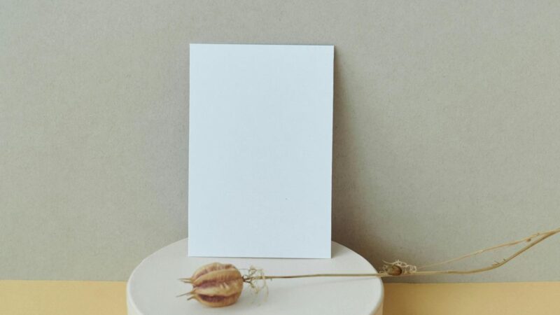 Papel Semente: Guia Definitivo 2026 (Do Conceito à Prática)