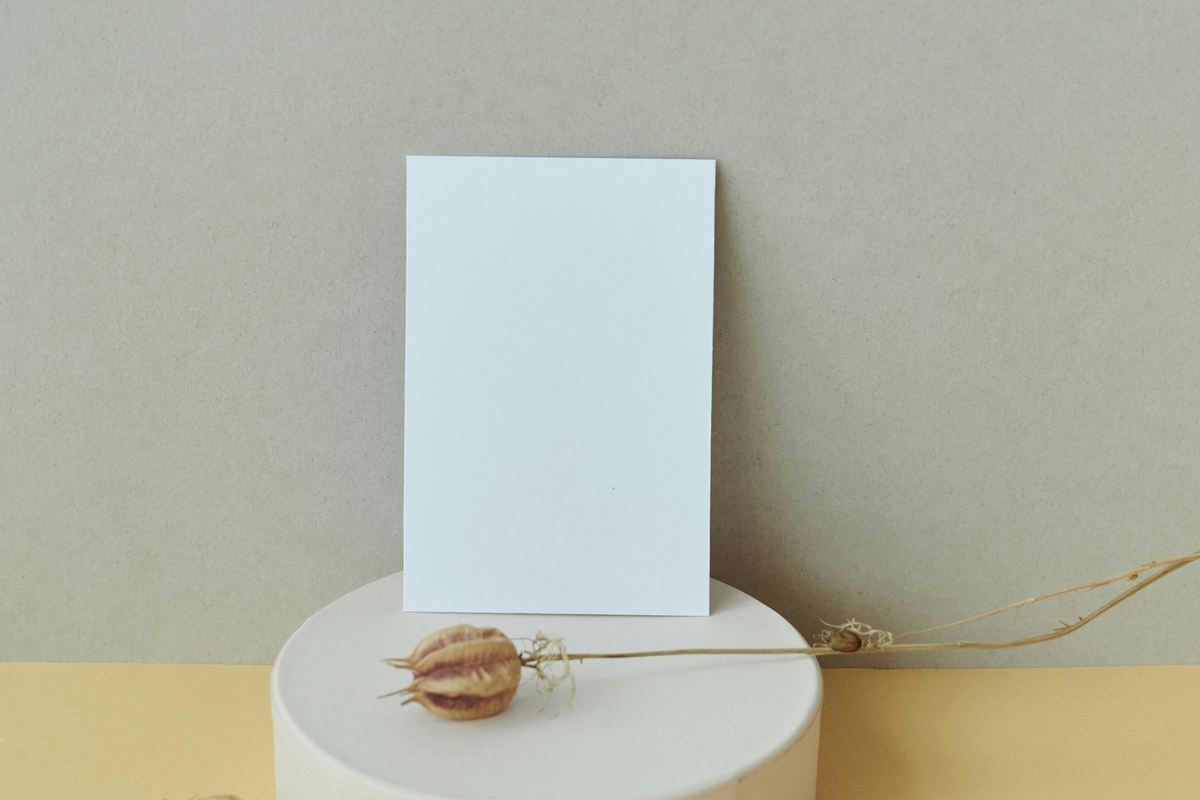 Papel Semente: Guia Definitivo 2026 (Do Conceito à Prática)