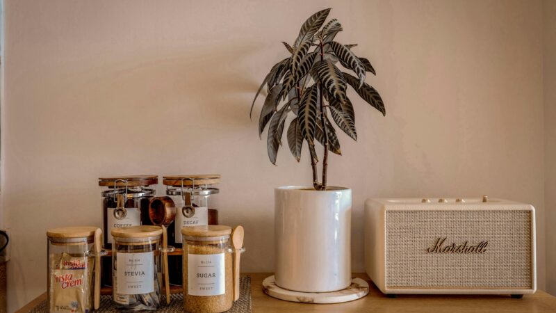 Minimalismo e Otimização das Tarefas de Casa: Desvende a Conexão para um Lar Mais Produtivo