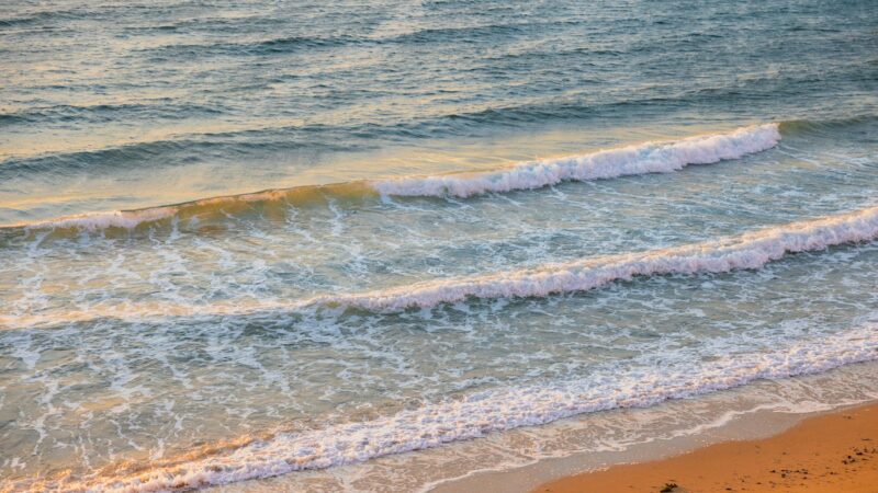 Como limpar o micro-ondas em 2 minutos.