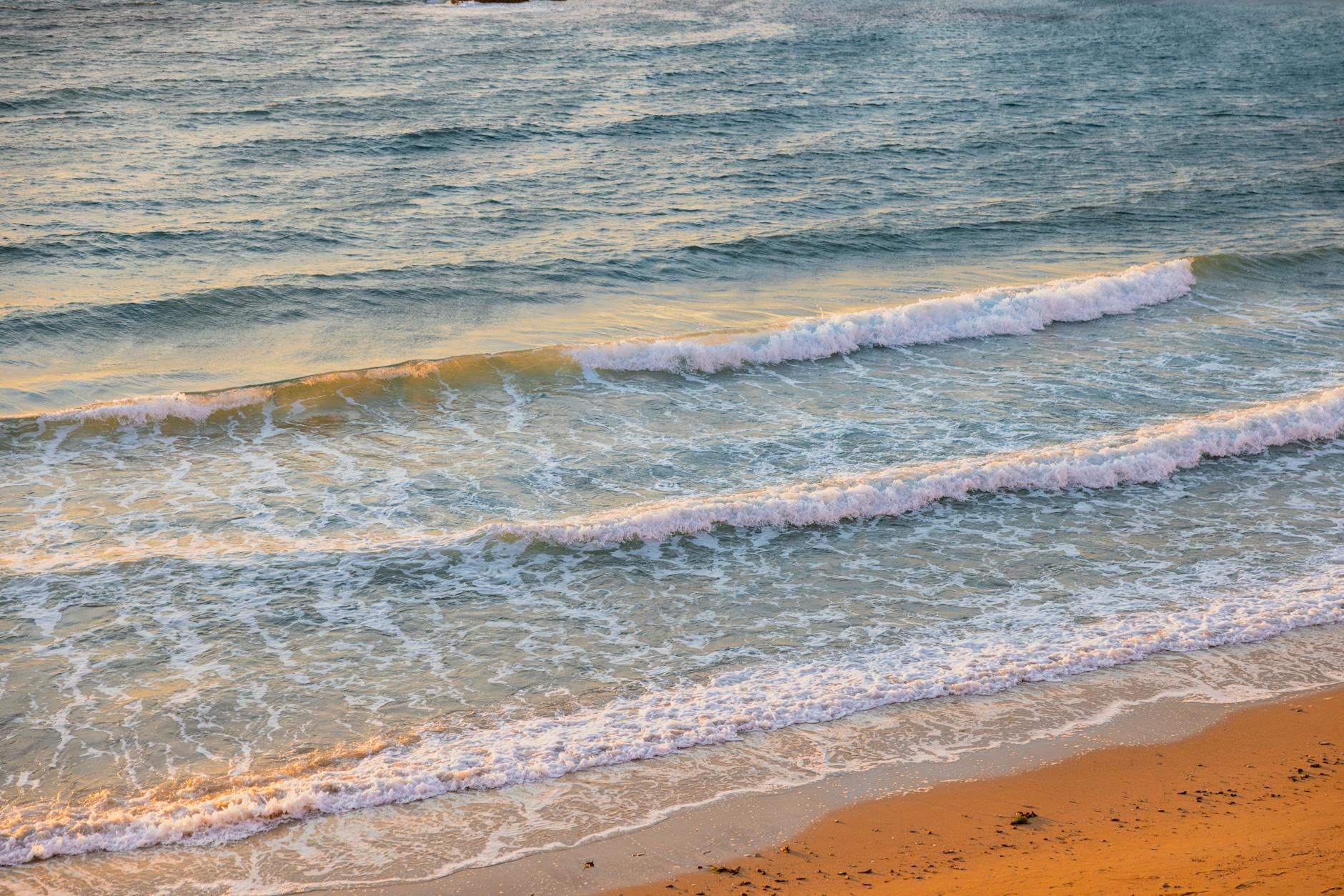 Como limpar o micro-ondas em 2 minutos.