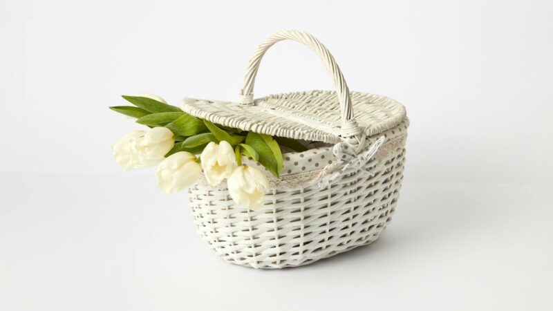 Limpeza de Primavera (Spring Cleaning) no Brasil: O Guia Definitivo para um Lar Renovado e Energizado