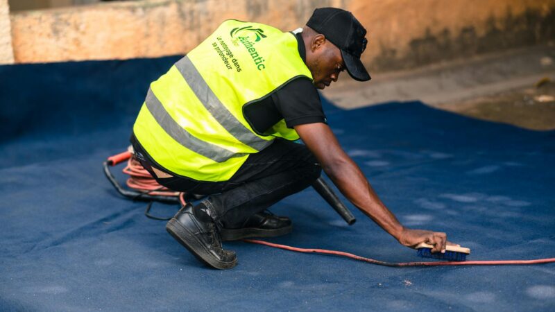 Limpeza de Tapetes e Carpetes: Guia Completo para Escolher entre Lavagem Profissional e Caseira