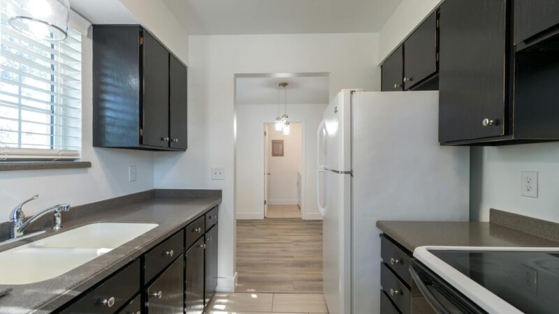 Desperdício Zero e Geladeira Impecável: O Guia Definitivo para Organização Profissional